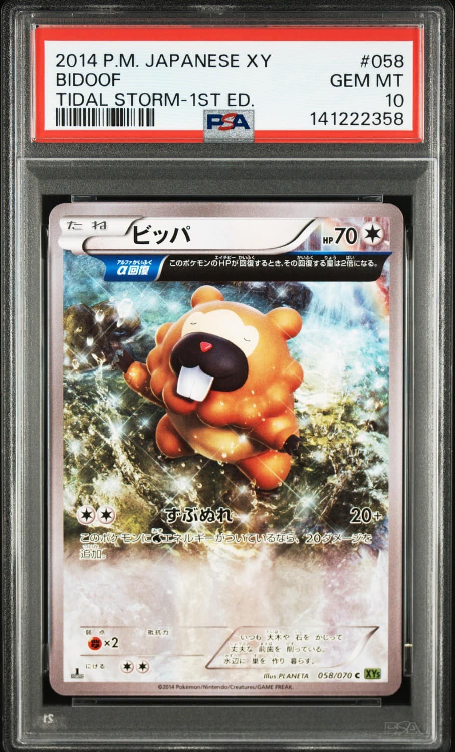 Bidoof