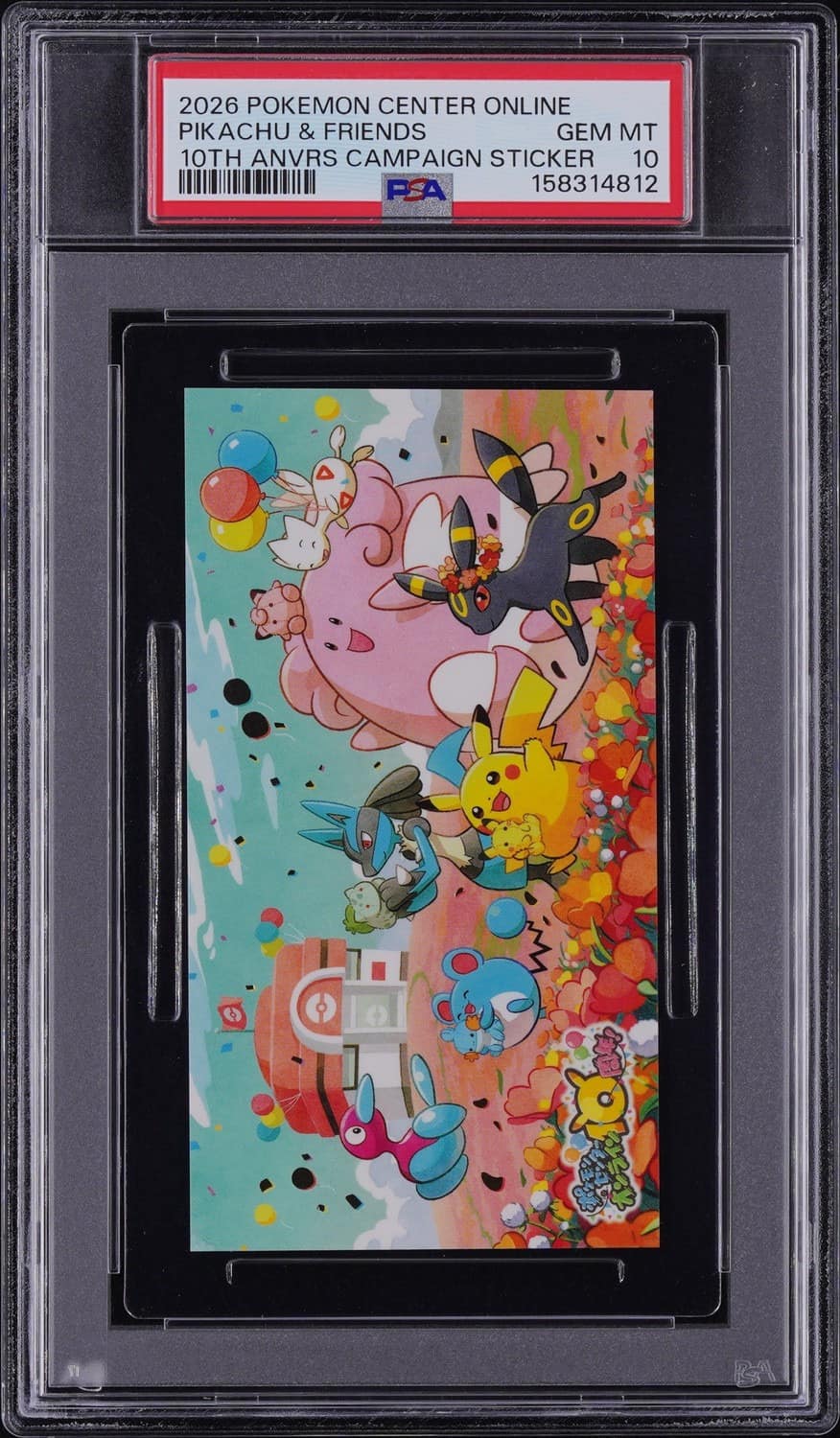 Pikachu & Friends