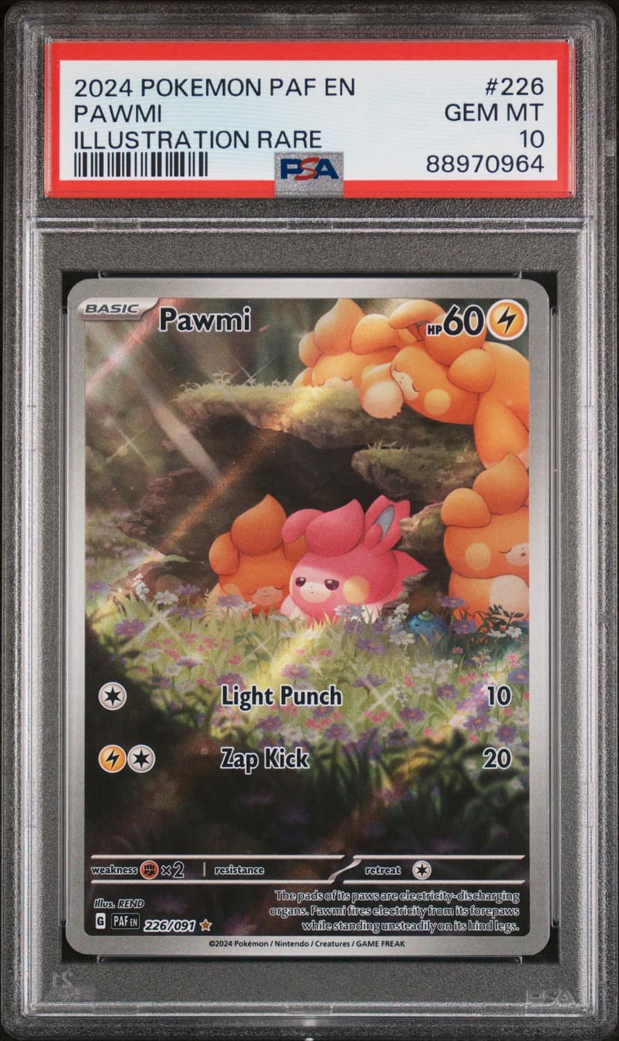Pawmi