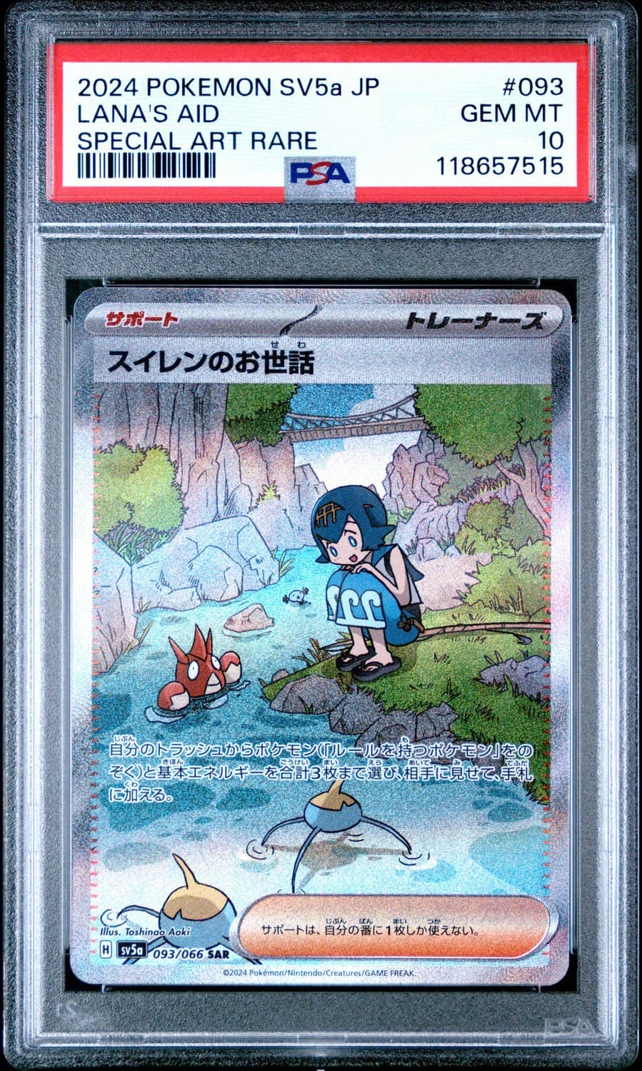 Lana'S Aid