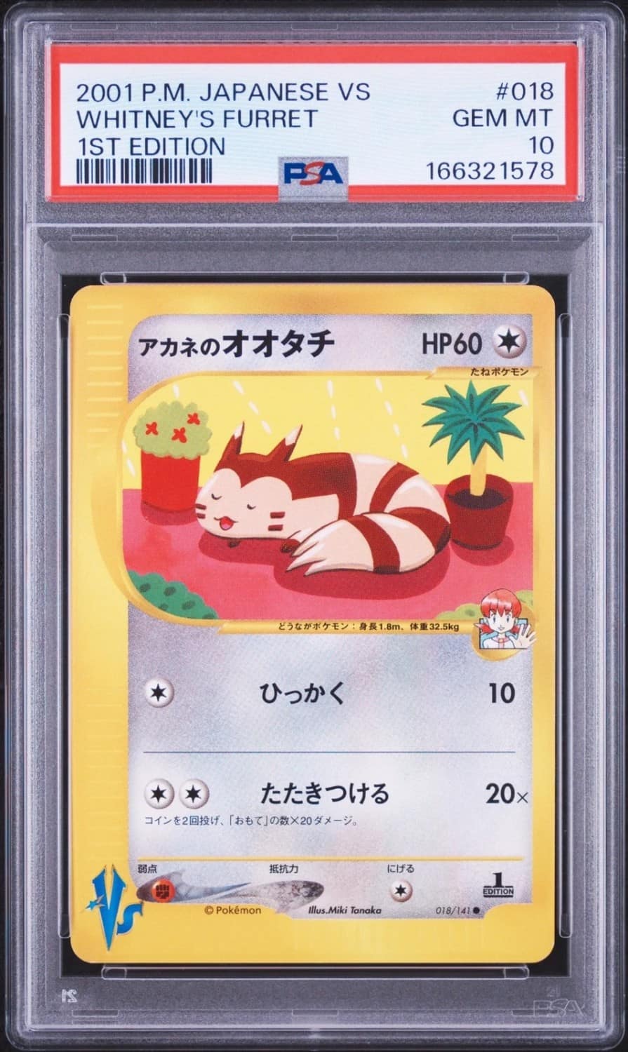 Whitney'S Furret