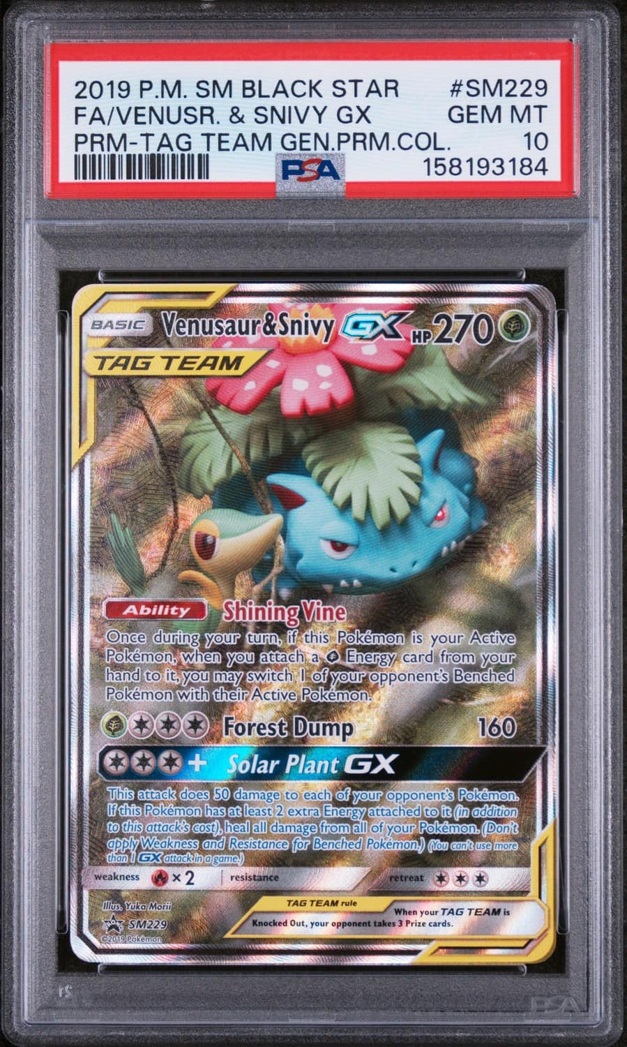 Venusaur & Snivy Gx