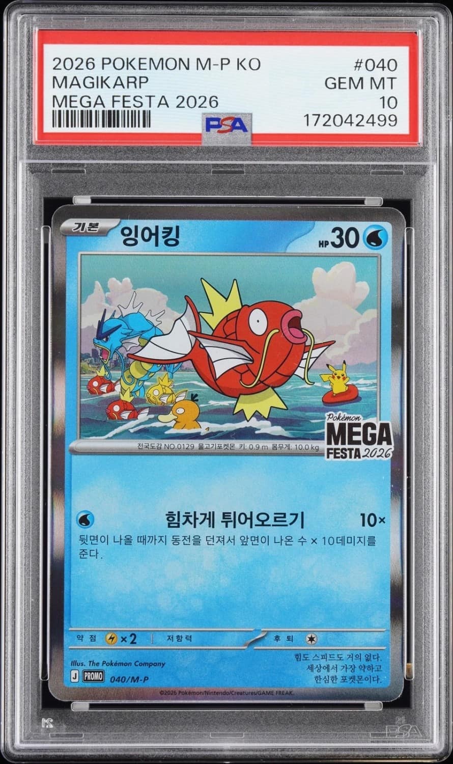 Magikarp