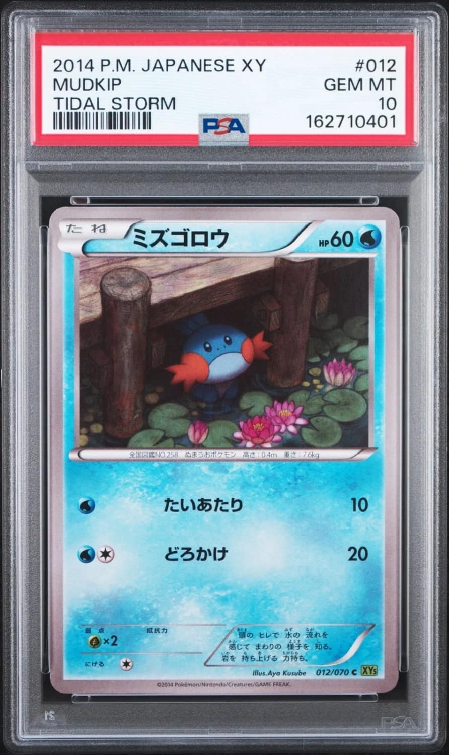 Mudkip