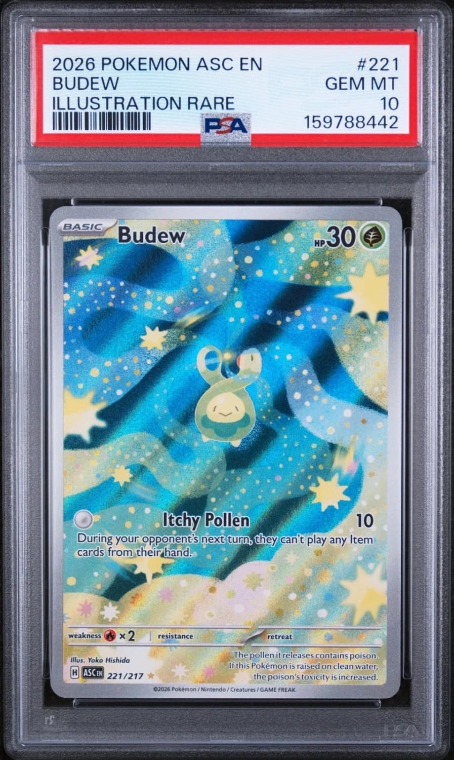 Budew