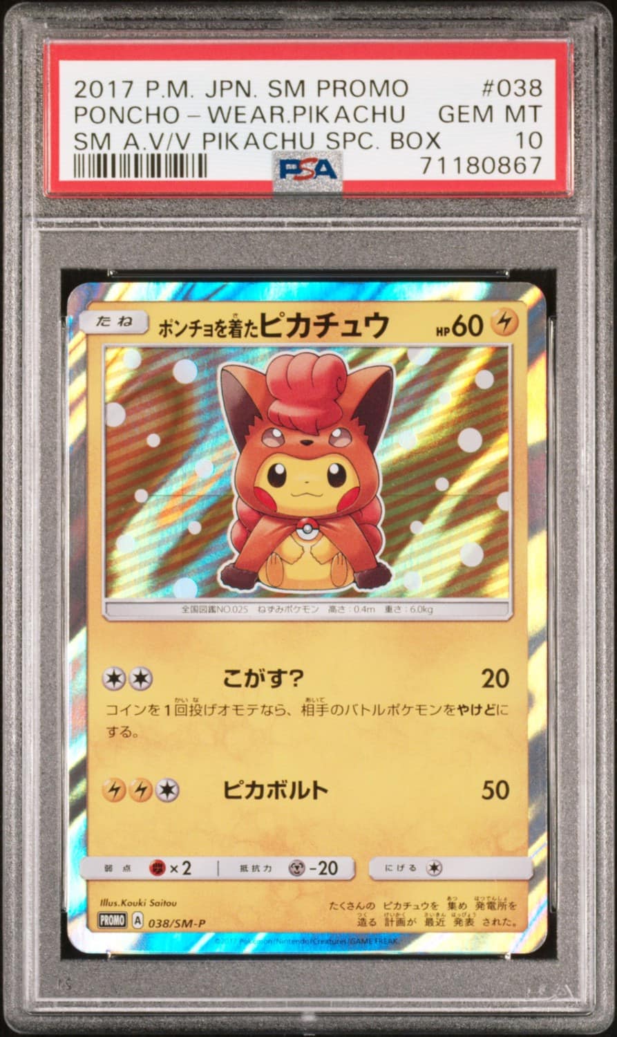 Poncho-Wearing Pikachu