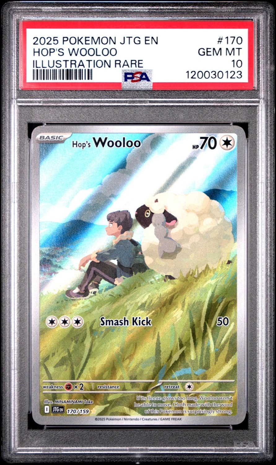 Hop'S Wooloo