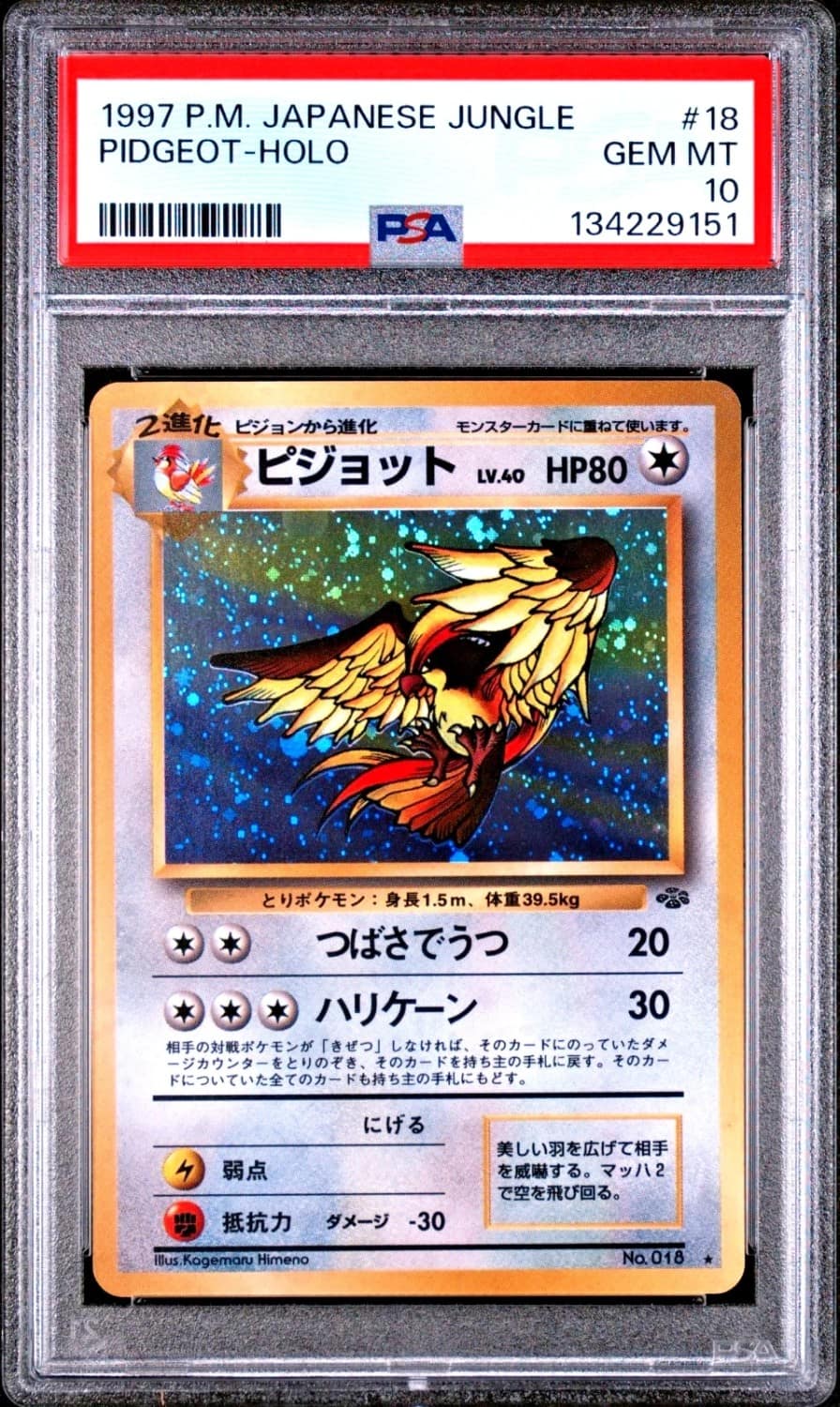 Pidgeot