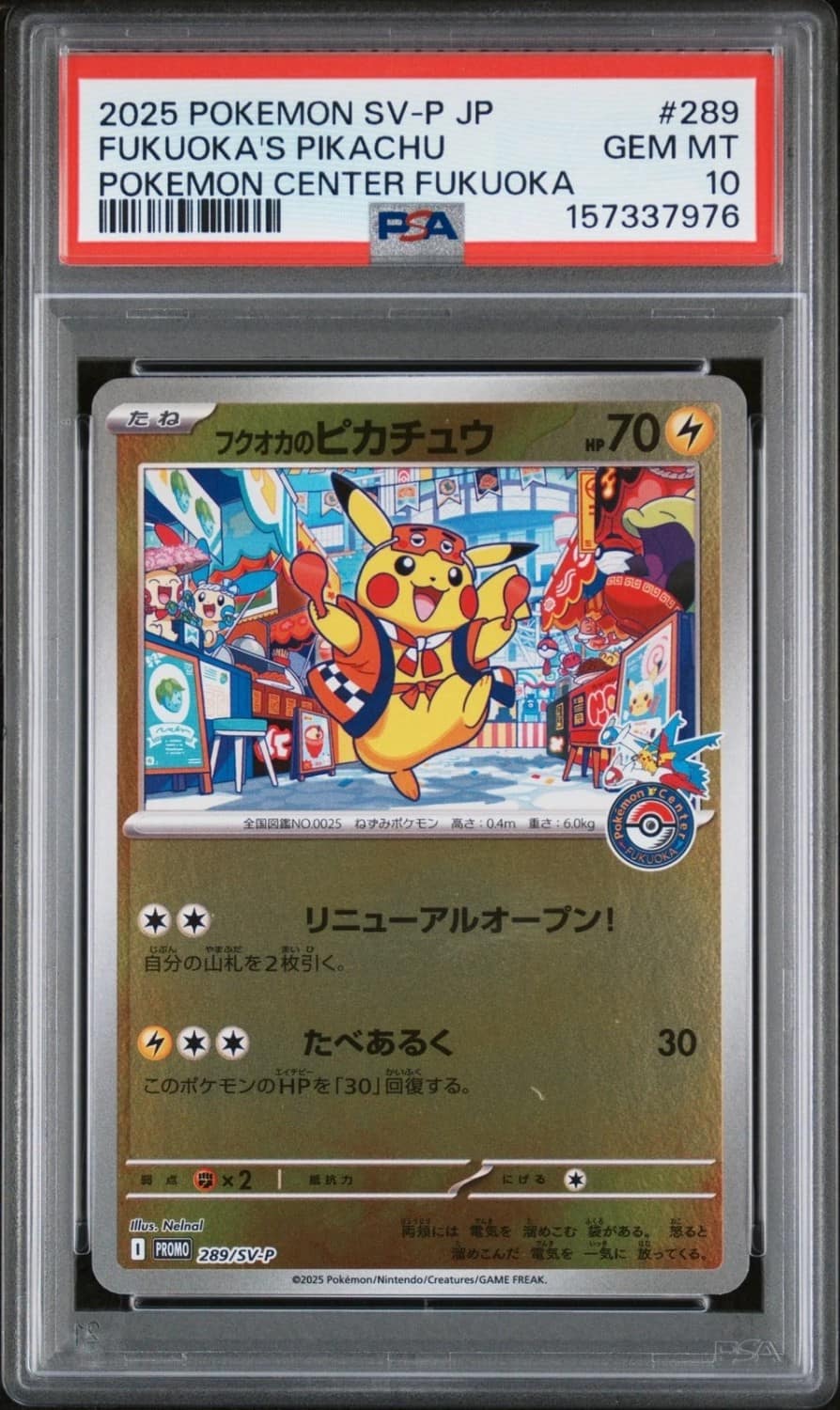 Fukuoka'S Pikachu