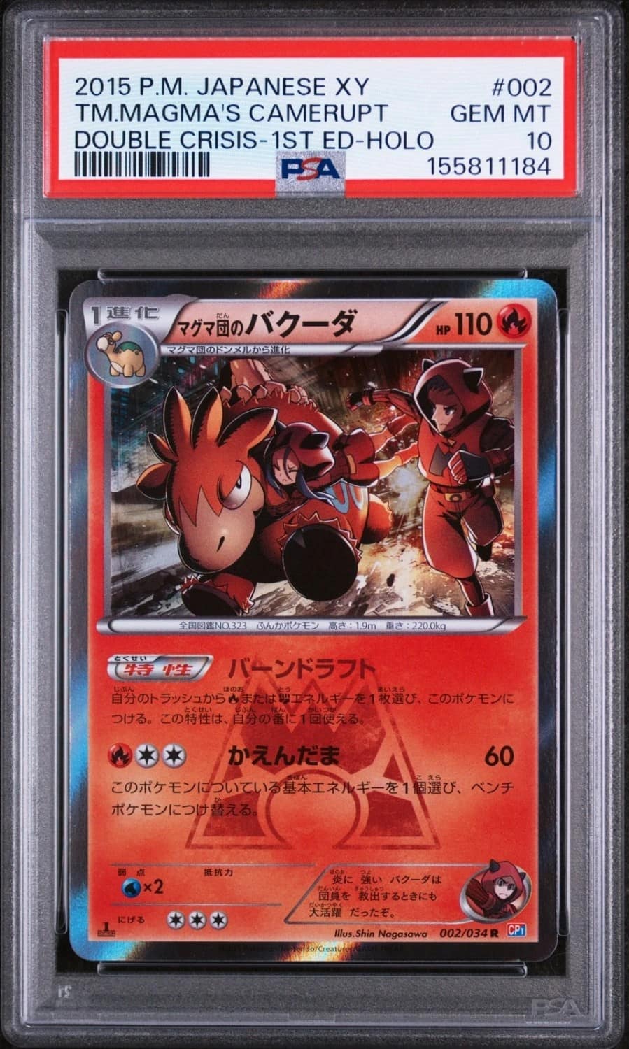 Team Magma'S Camerupt