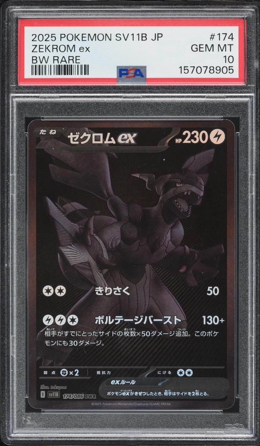 Zekrom Ex