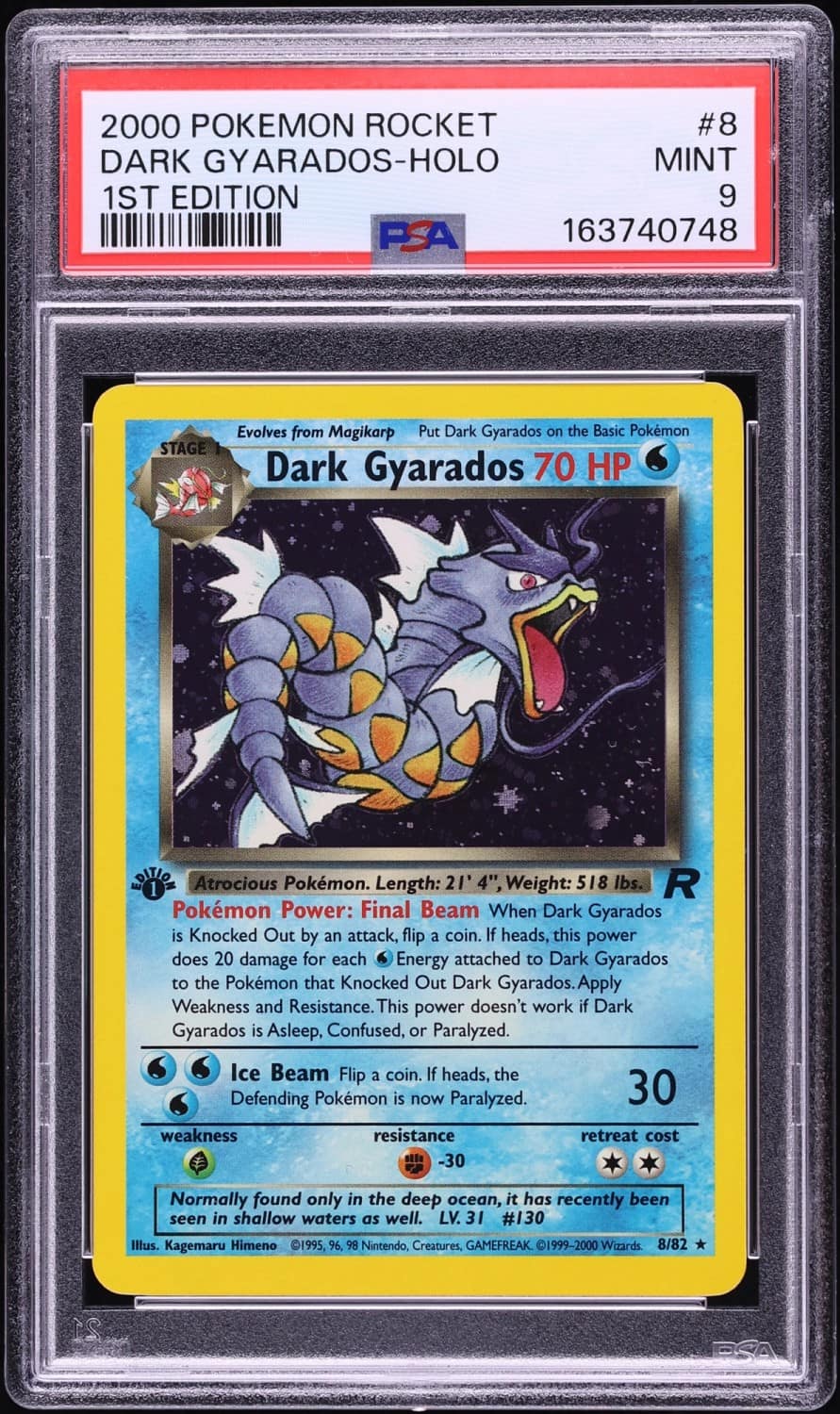 Dark Gyarados