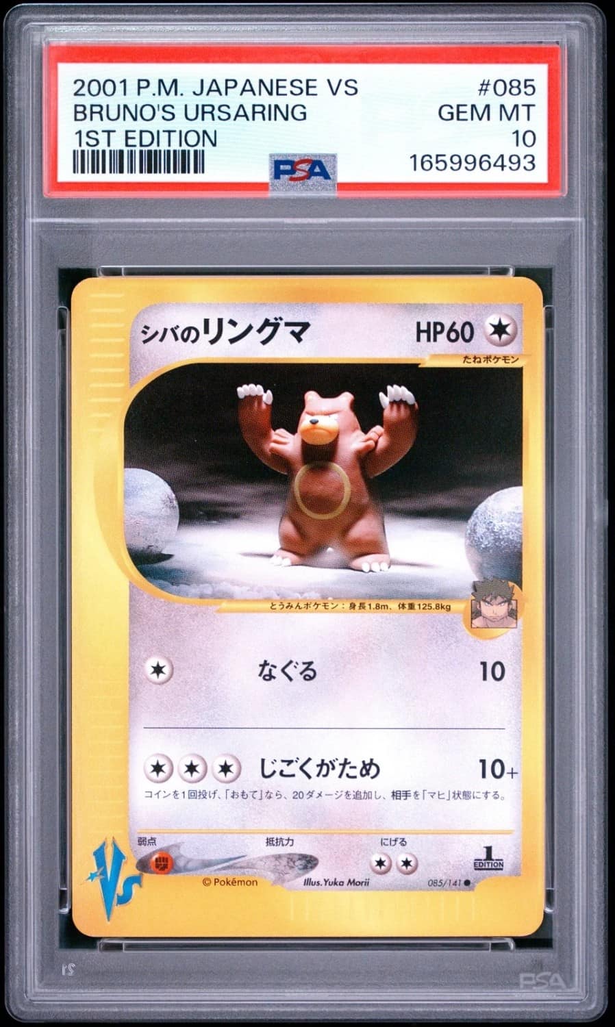 Bruno'S Ursaring