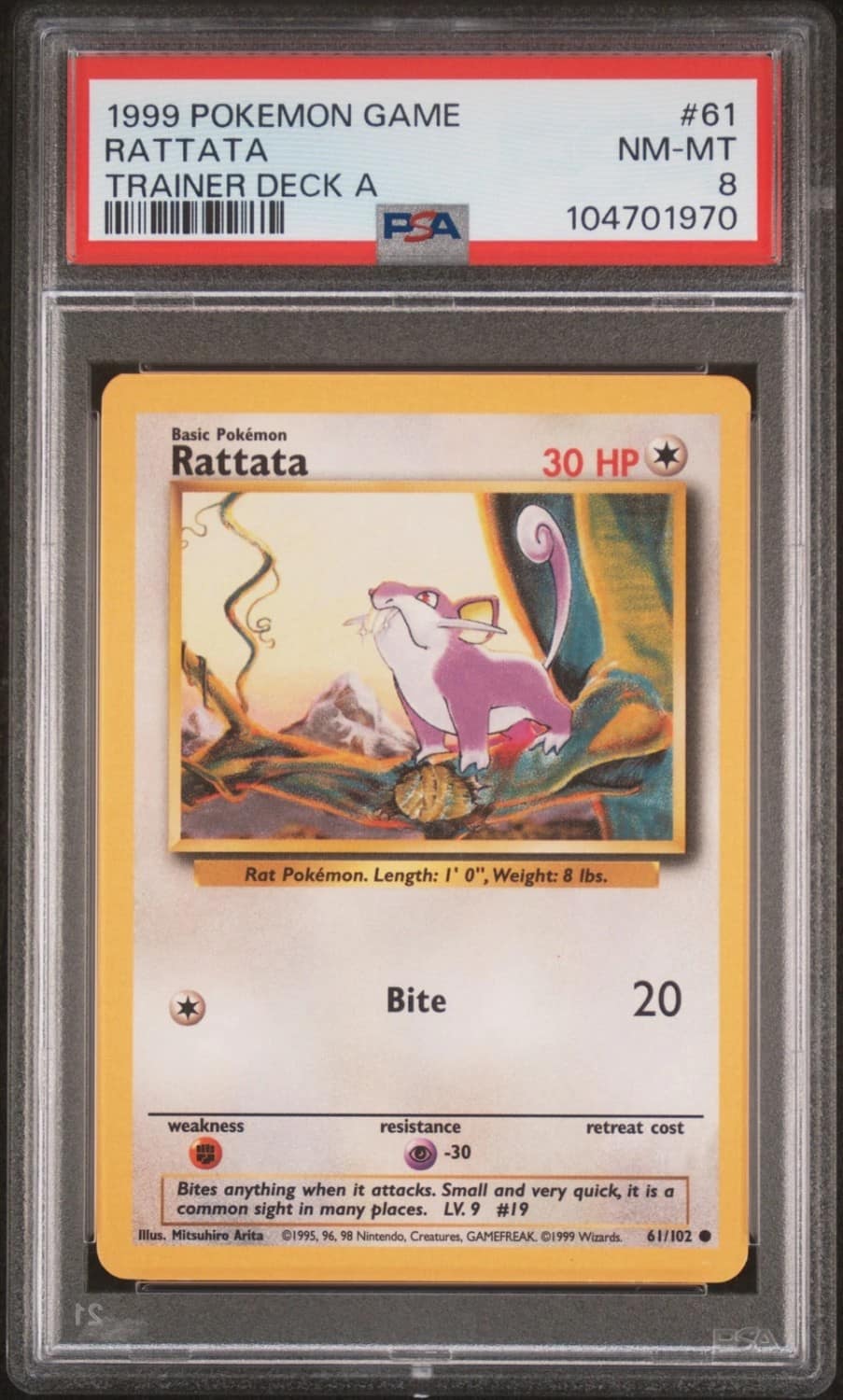 Rattata