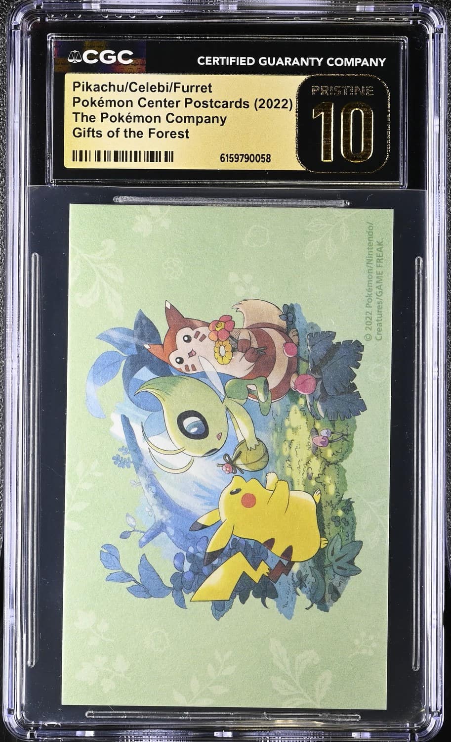 Pikachu/celebi/furret