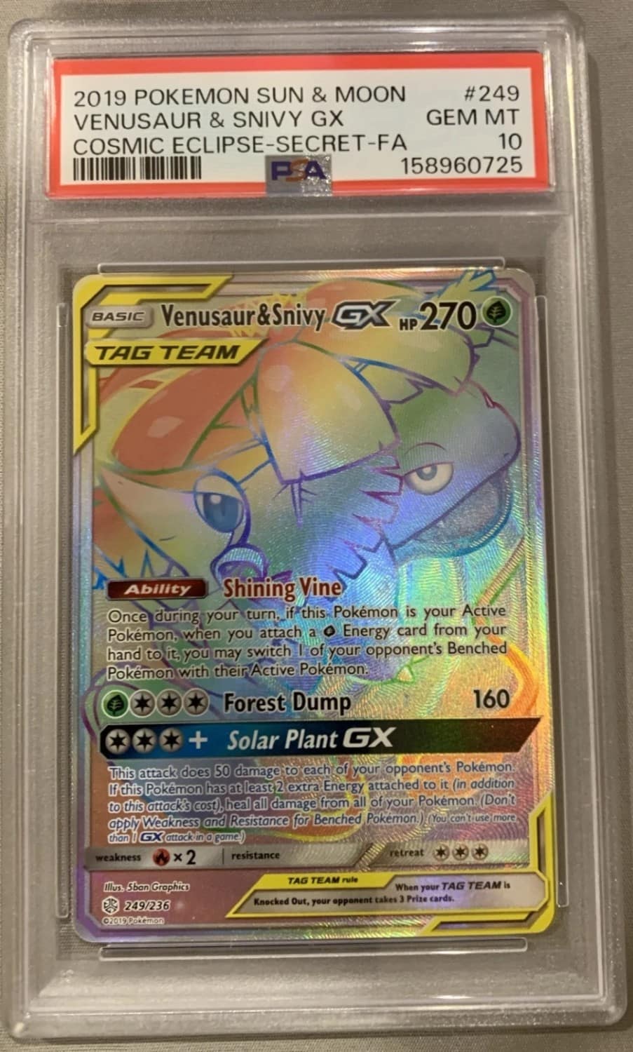 Venusaur & Snivy Gx
