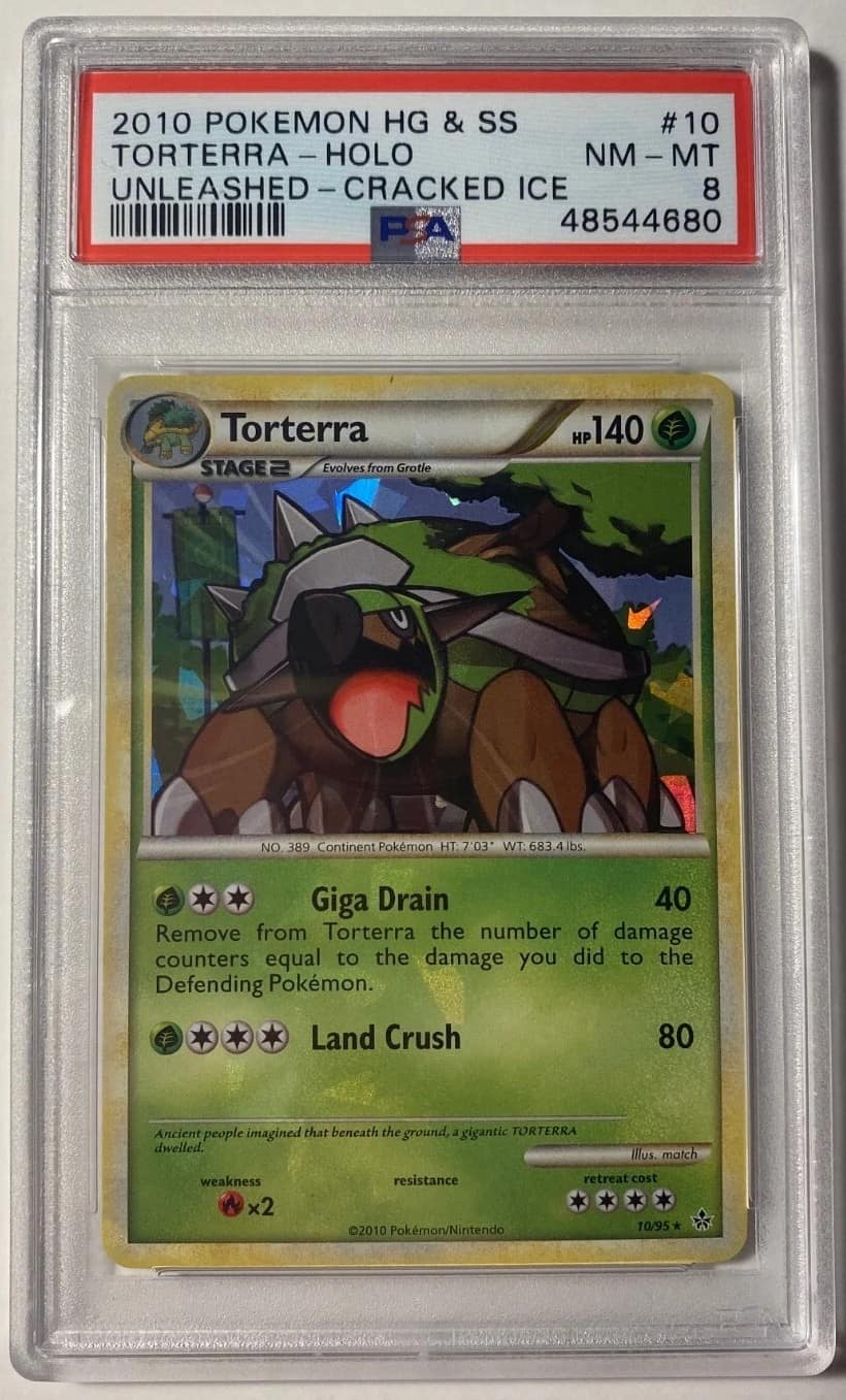 Torterra