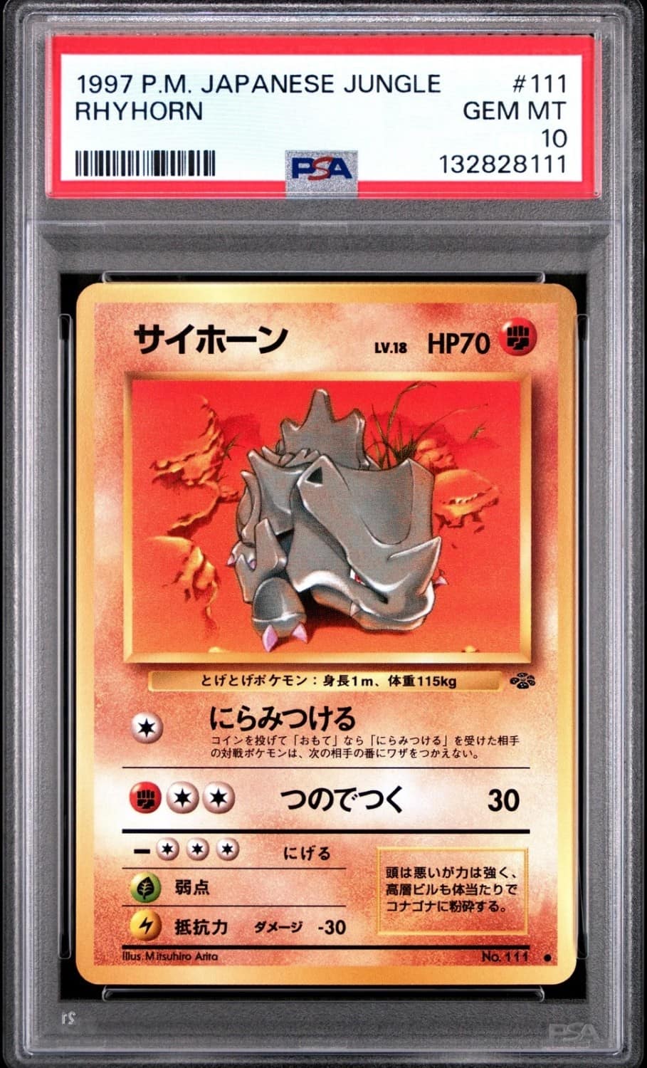 Rhyhorn