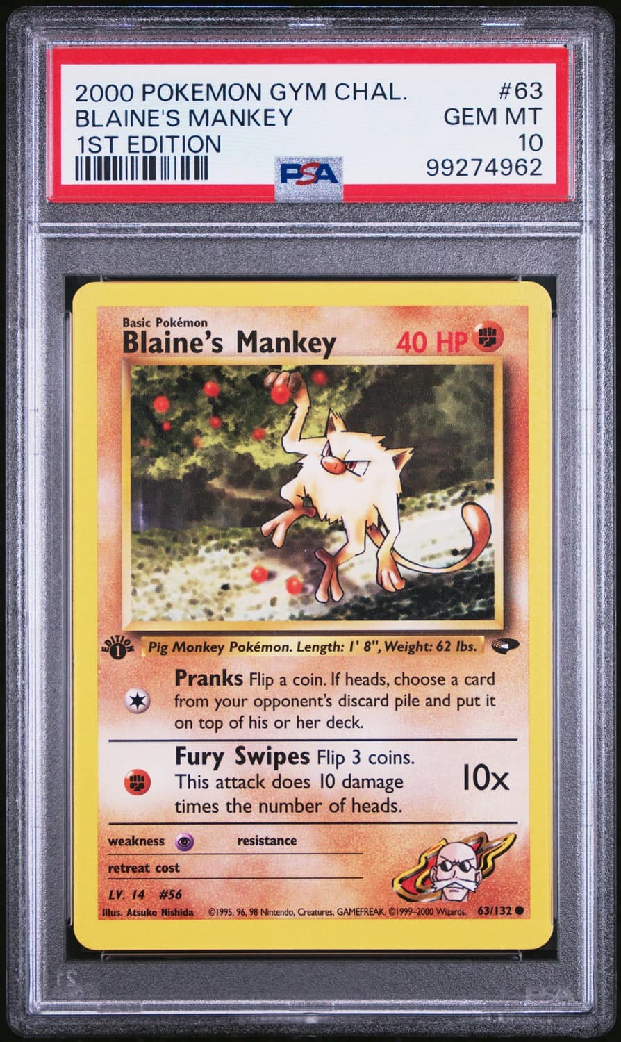 Blaine'S Mankey
