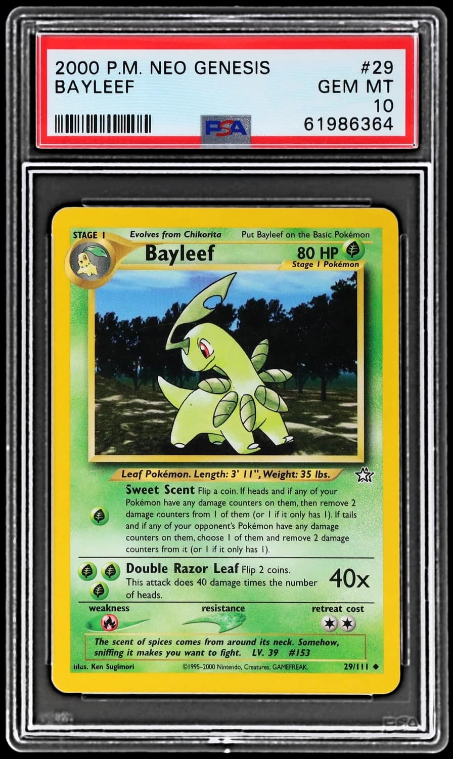 Bayleef