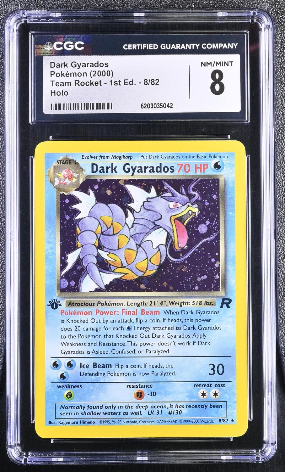 Dark Gyarados
