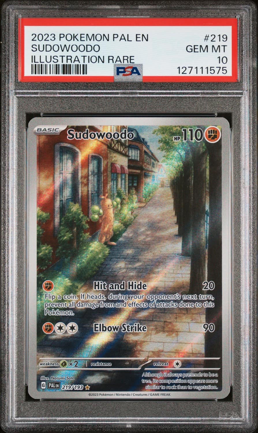 Sudowoodo