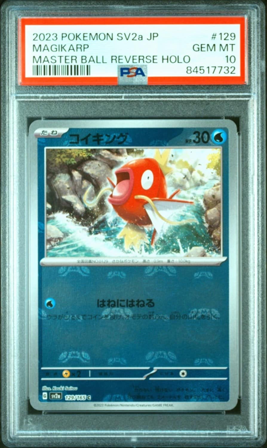Magikarp