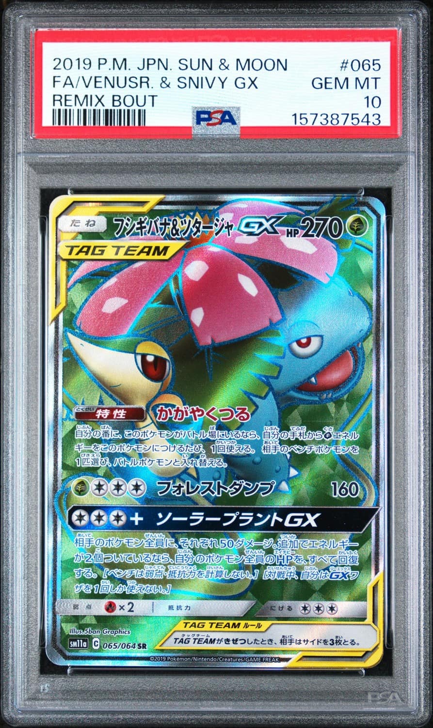 Venusaur & Snivy Gx