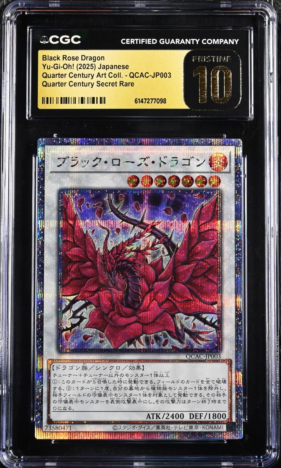 Black Rose Dragon