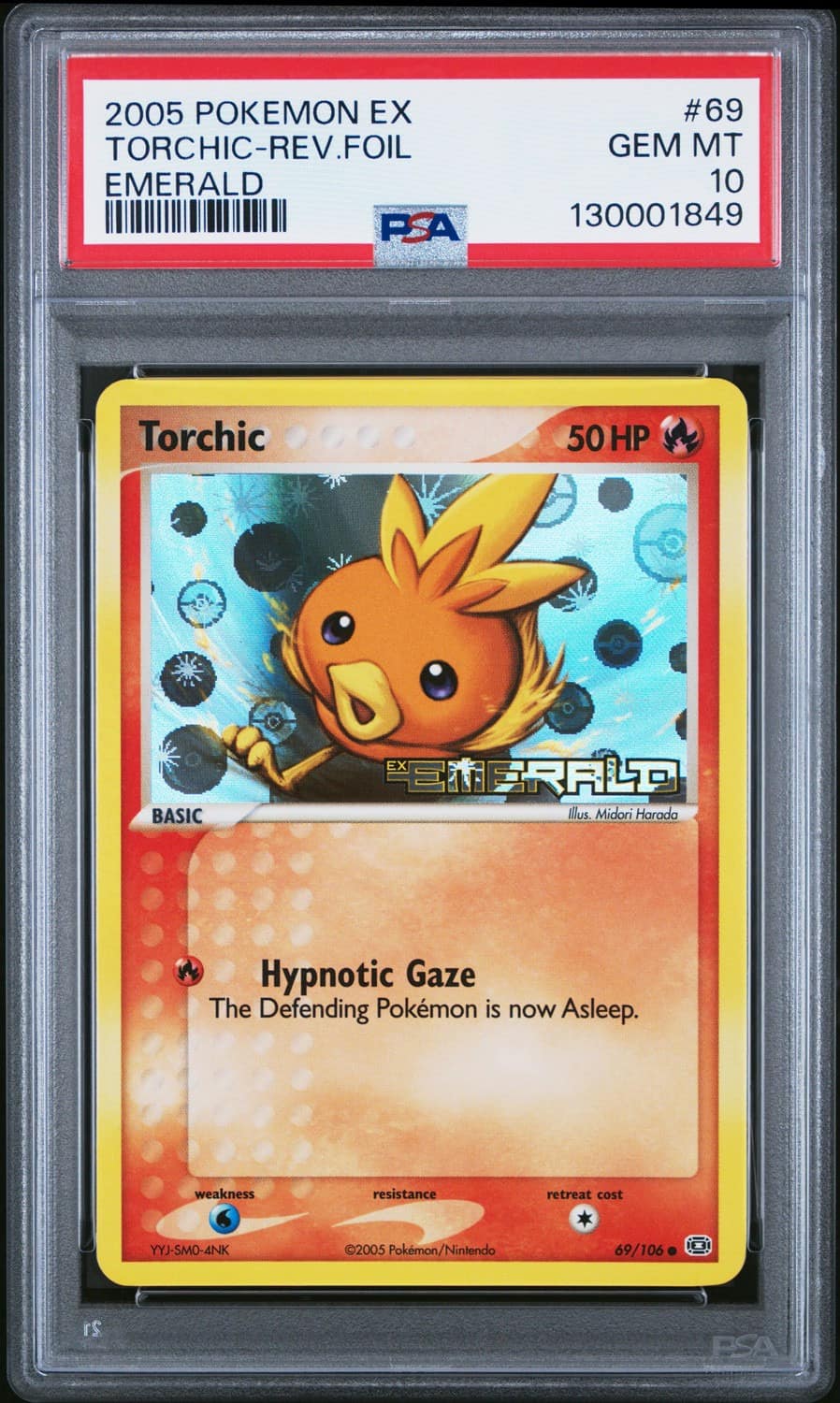 Torchic