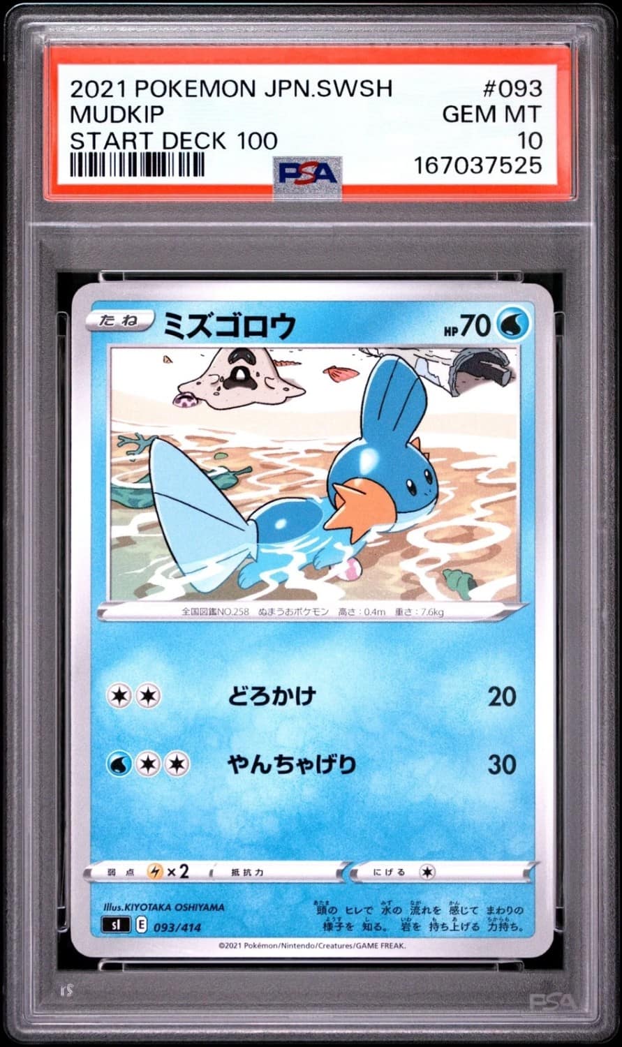 Mudkip