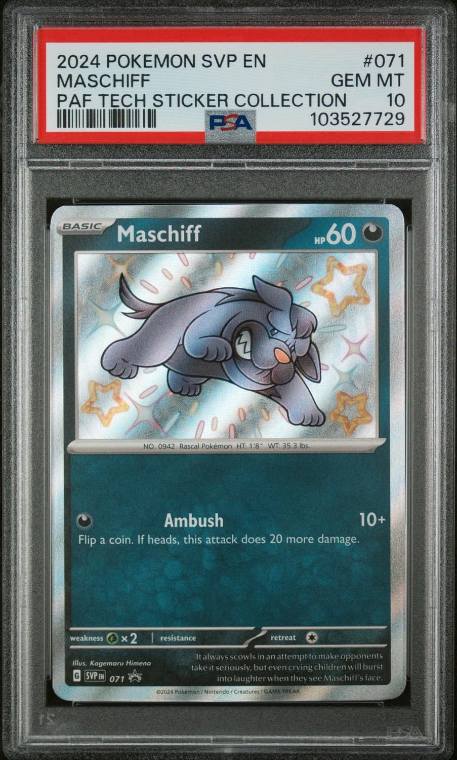 Maschiff