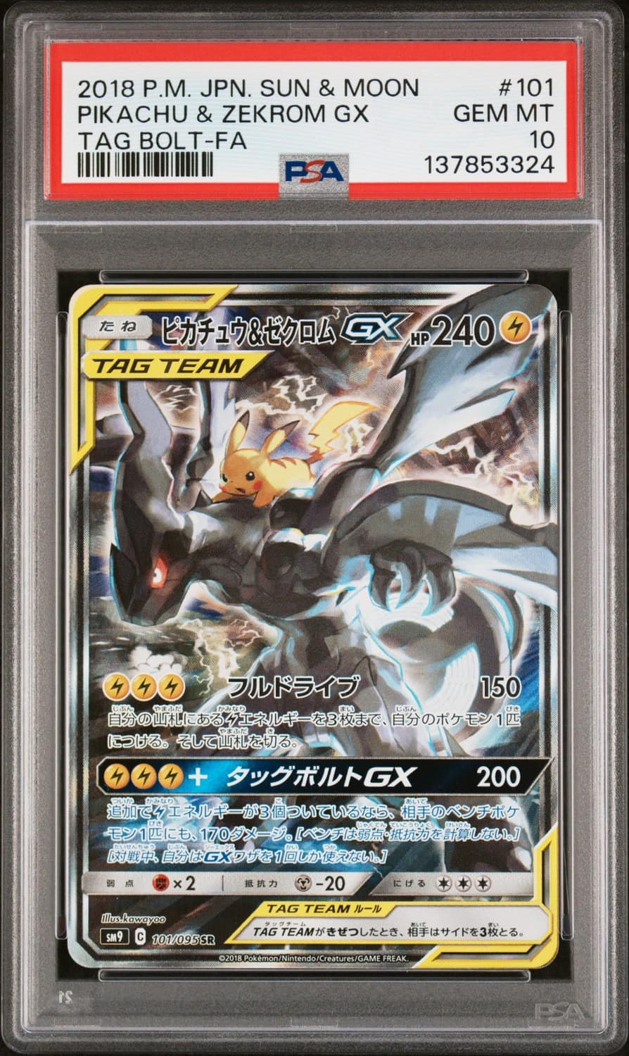 Pikachu & Zekrom Gx