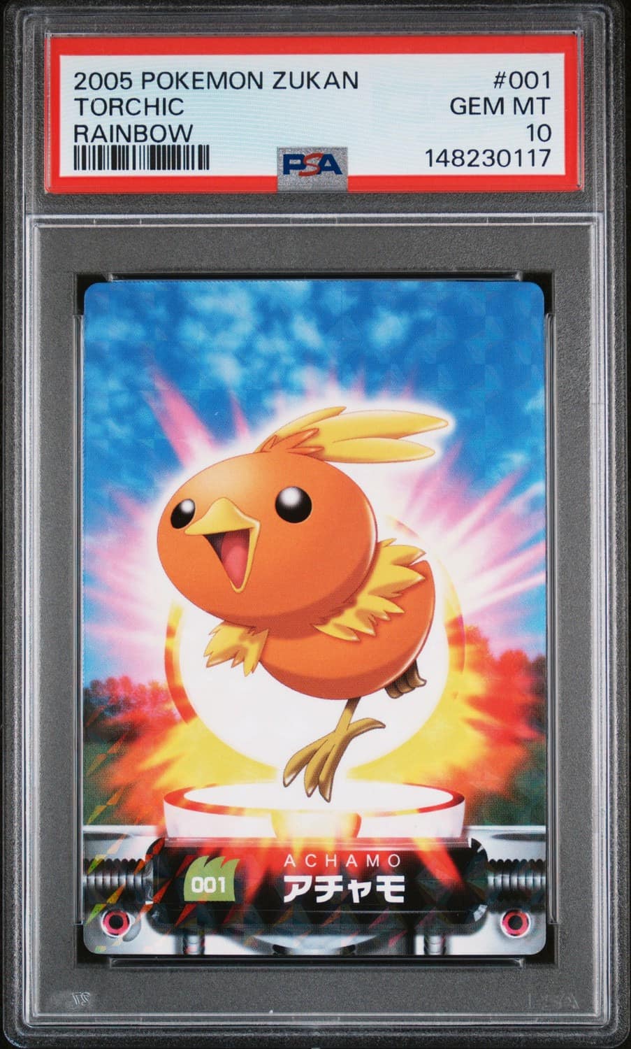 Torchic