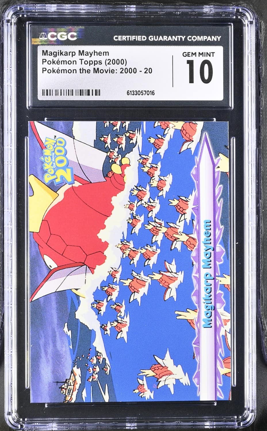 Magikarp Mayhem