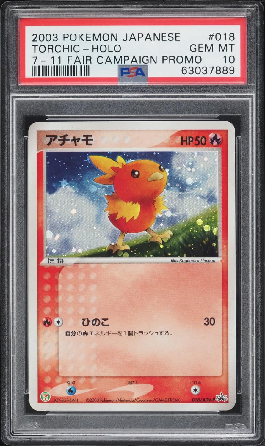 Torchic