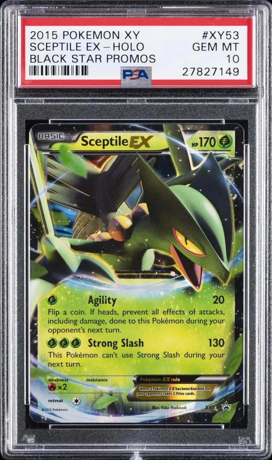 Sceptile Ex