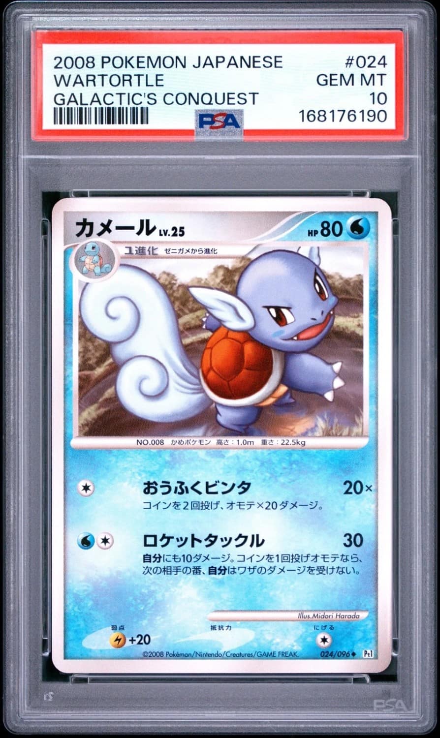Wartortle