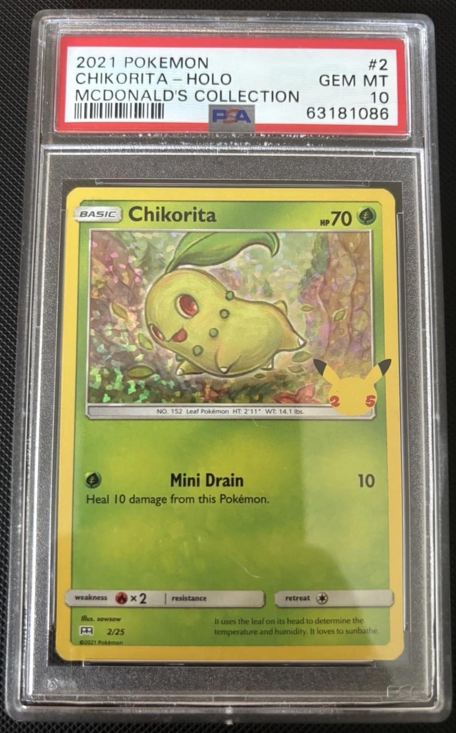 Chikorita