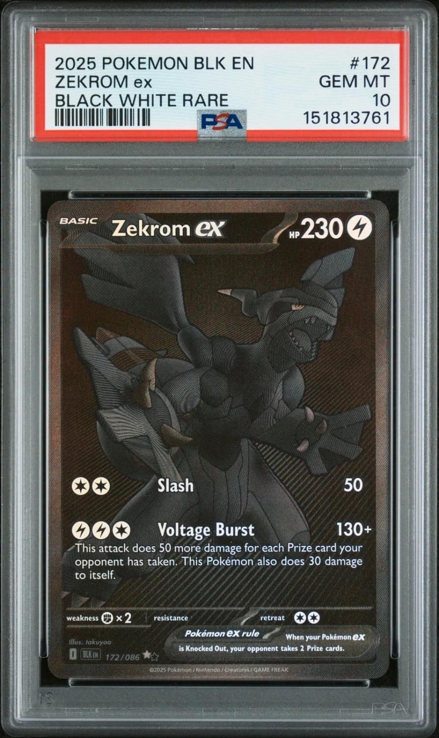 Zekrom Ex