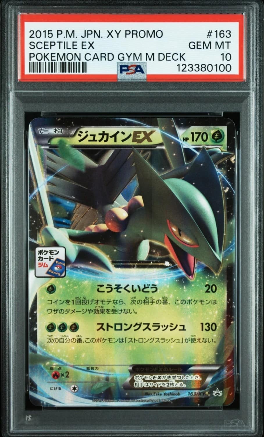 Sceptile Ex