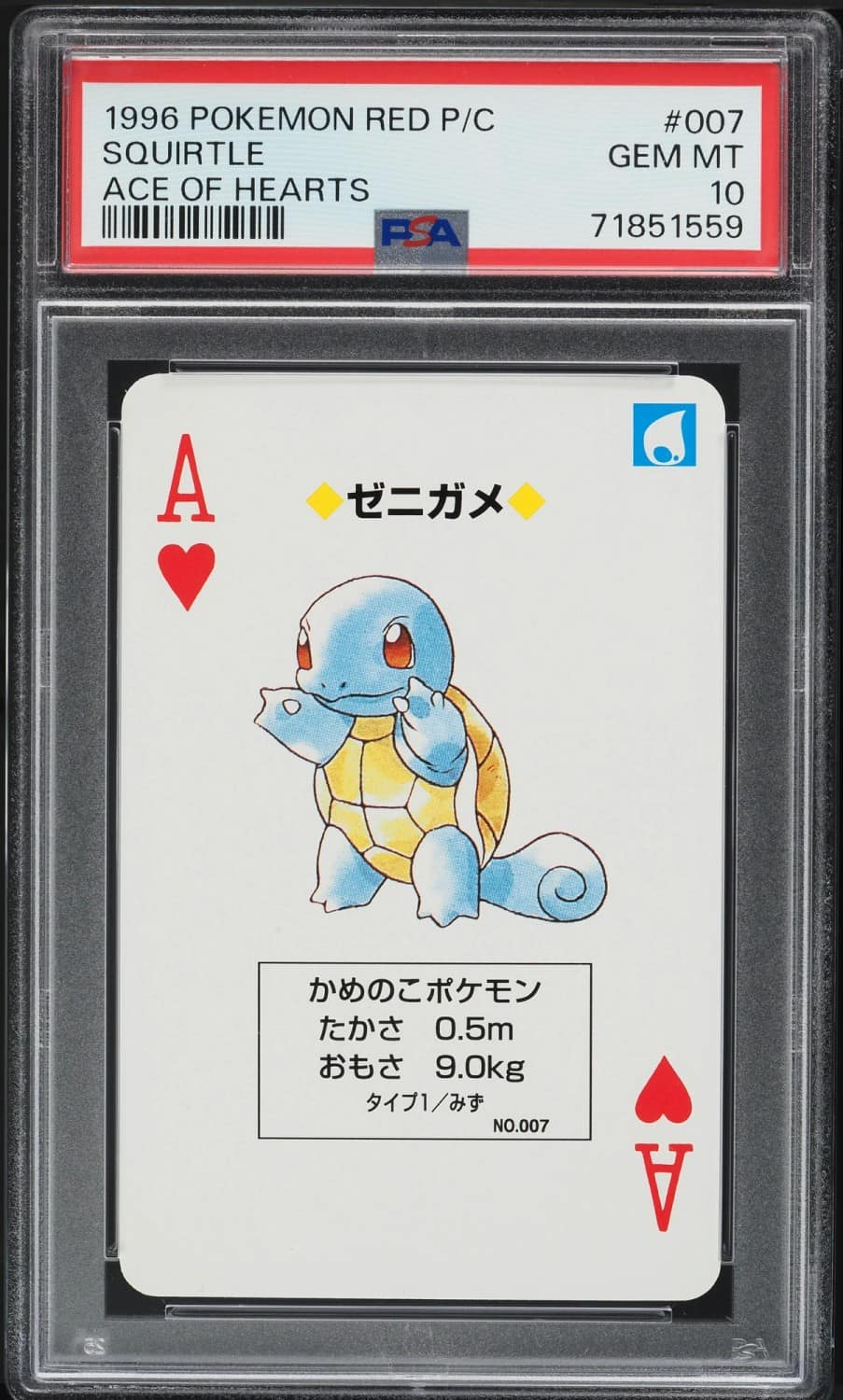 Squirtle