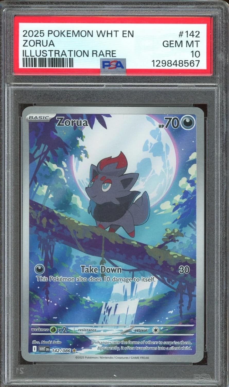 Zorua