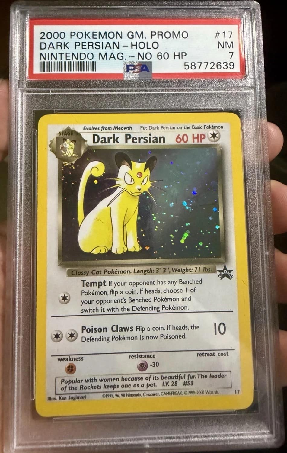 Dark Persian