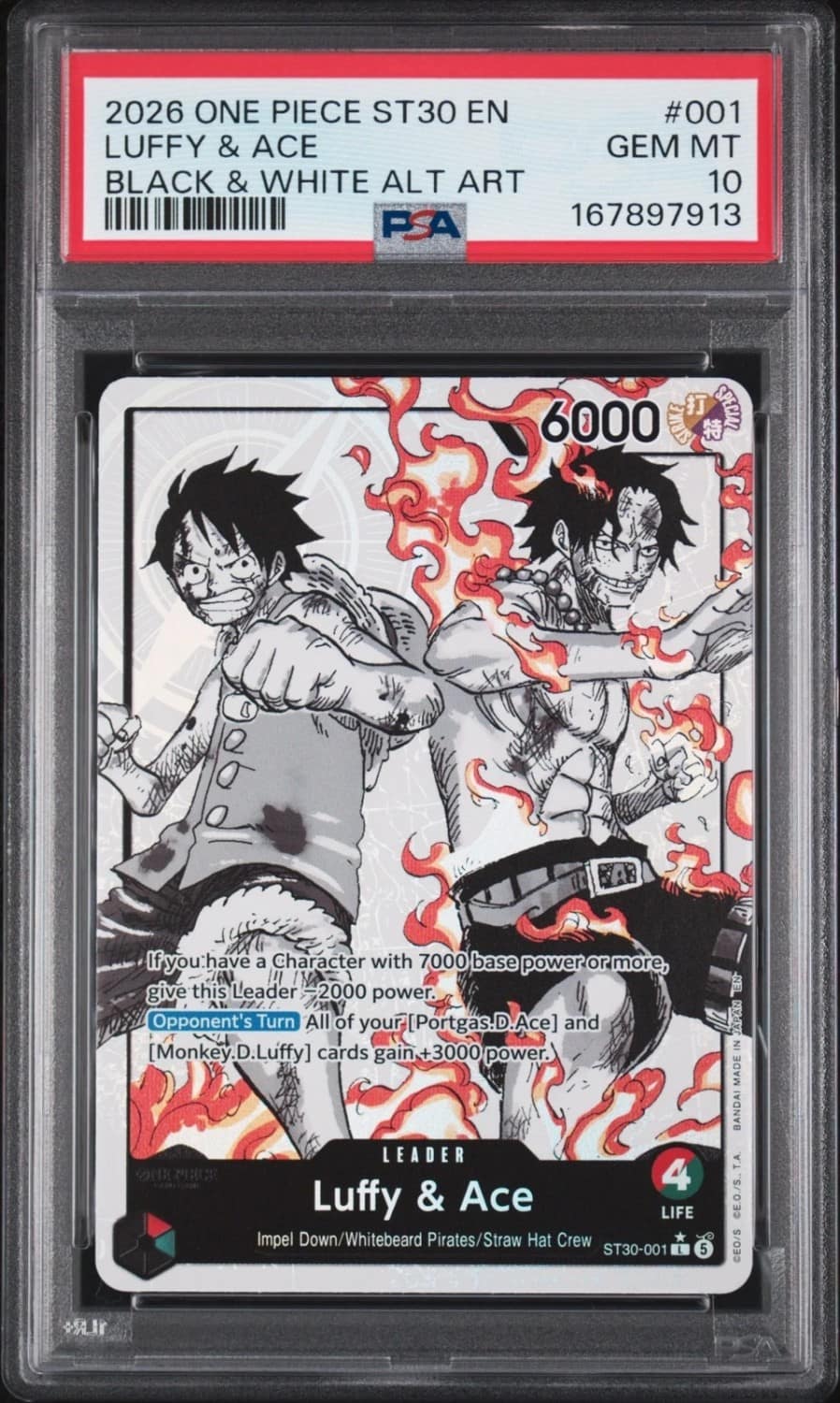Luffy & Ace