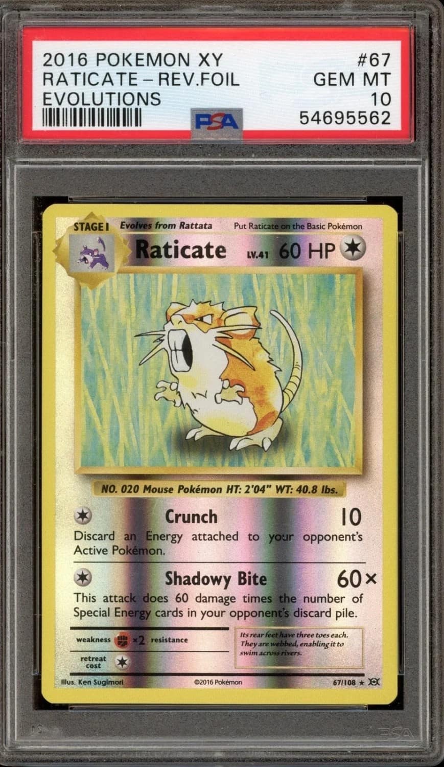 Raticate
