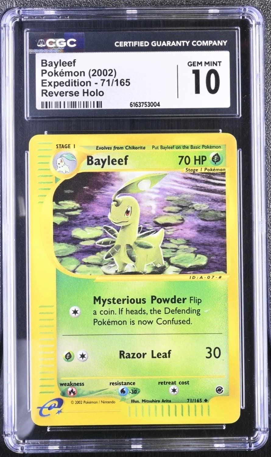 Bayleef