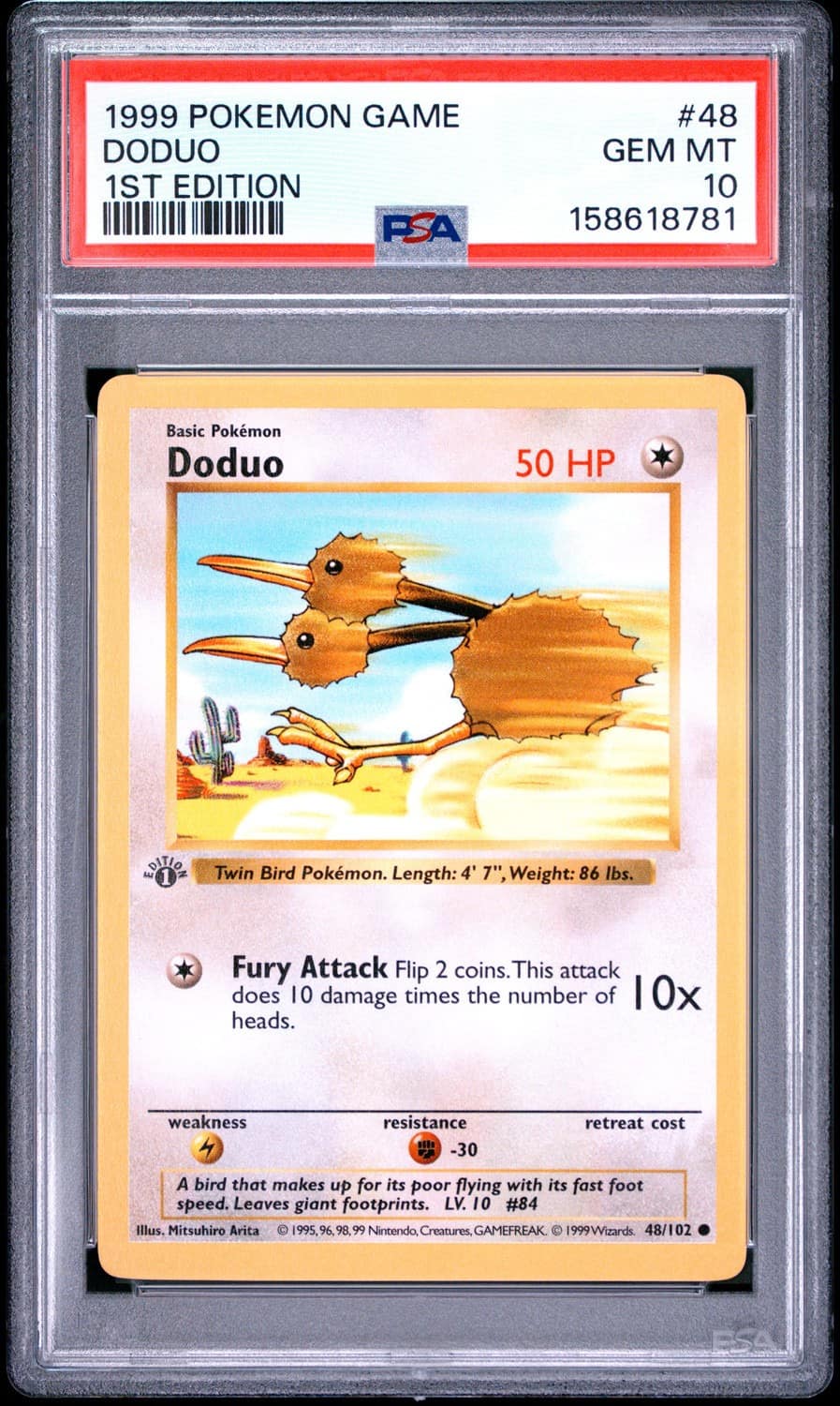 Doduo