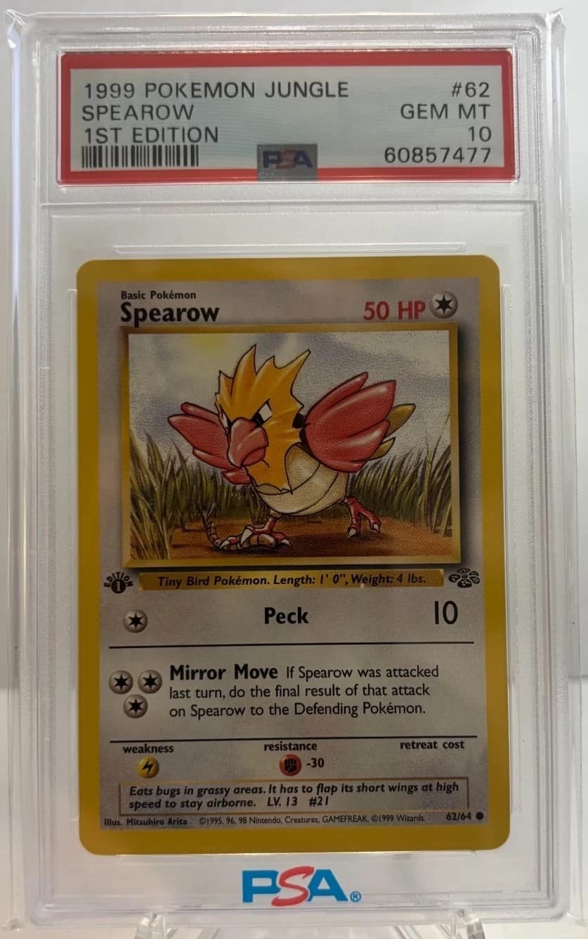 Spearow