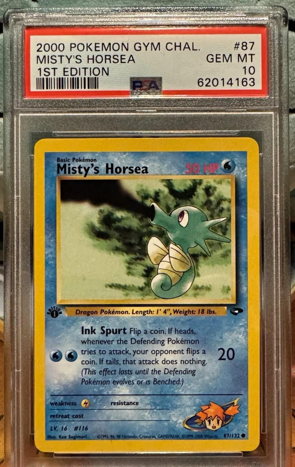 Misty'S Horsea